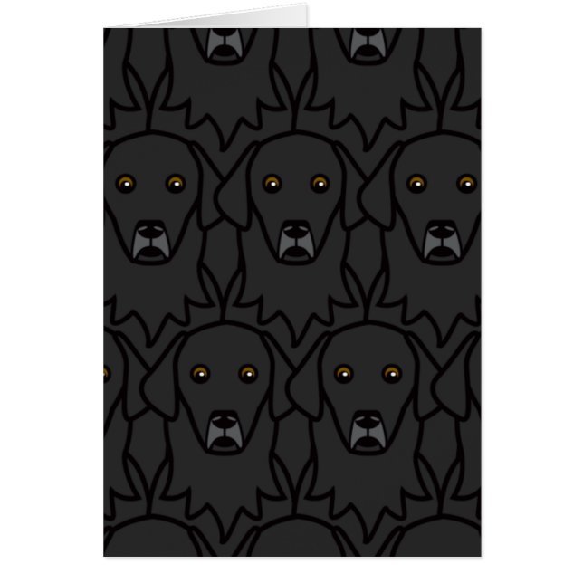 Flach-Überzogene Retriever (Vorne)