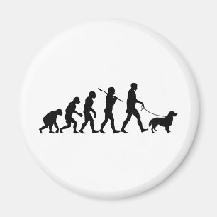 Flach-Überzogener Retriever Magnet