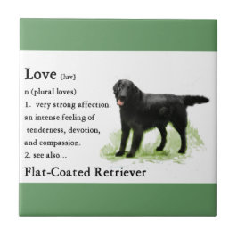 Flachbeschichtete Retriever Kunstgeschenke Fliese