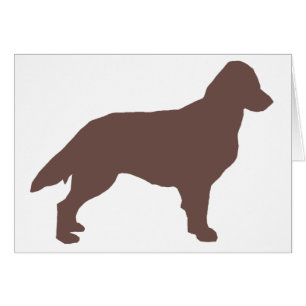 Flachbeschichtete Retriever Silo color.png
