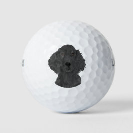 Flachbeschichteter Retriever Golfball