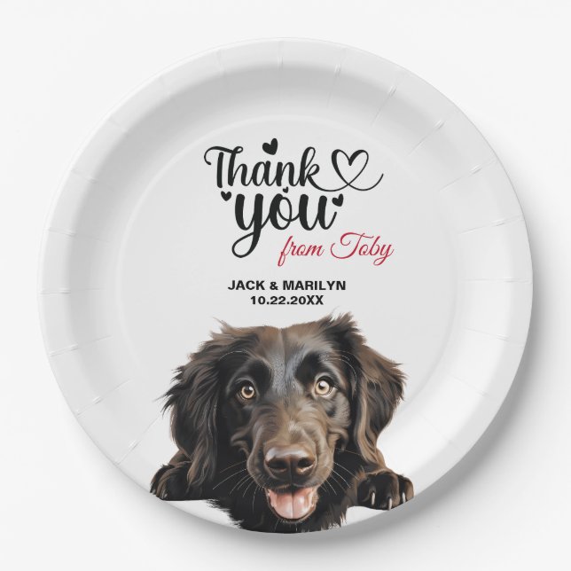 Flachbeschichteter Retriever Pappteller (Vorderseite)