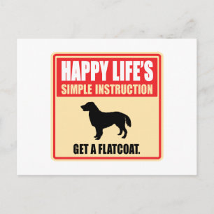 Flachbeschichteter Retriever Postkarte