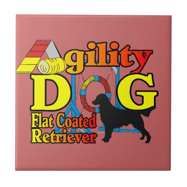Flachbeschichtetes Retriever-Agility Fliese (Vorderseite)