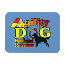 Flachbeschichtetes Retriever-Agility