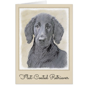 Flachbeschichtetes Retriever-Gemälde - Originale H