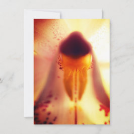 Flachbild-Design-Flachkarte