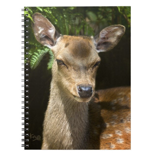 Flachdecker-Notebook Notizblock (Vorderseite)