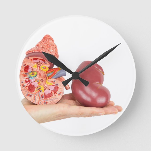 Flache Hand, die vorbildliche menschliche Niere Runde Wanduhr (Vorderseite)