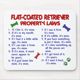 FLACHE ÜBERZOGENE RETRIEVER Eigentums-Gesetze 2 Mousepad