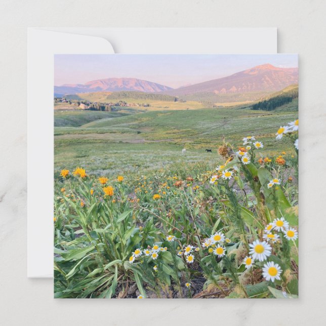 Flache Weihnachtskarte Feiertagskarte (Vorderseite)