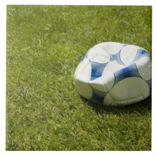 Flacher Fußball im Gras, Deutschland Fliese