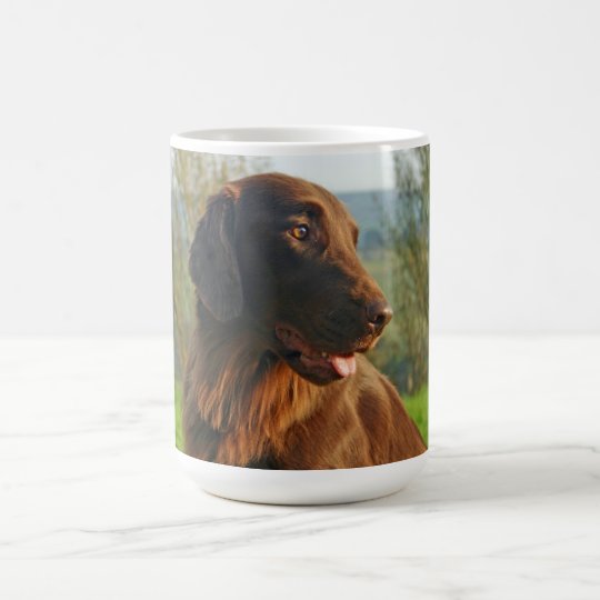 Flacher überzogener RetrieverhundeFotokaffee, Kaffeetasse