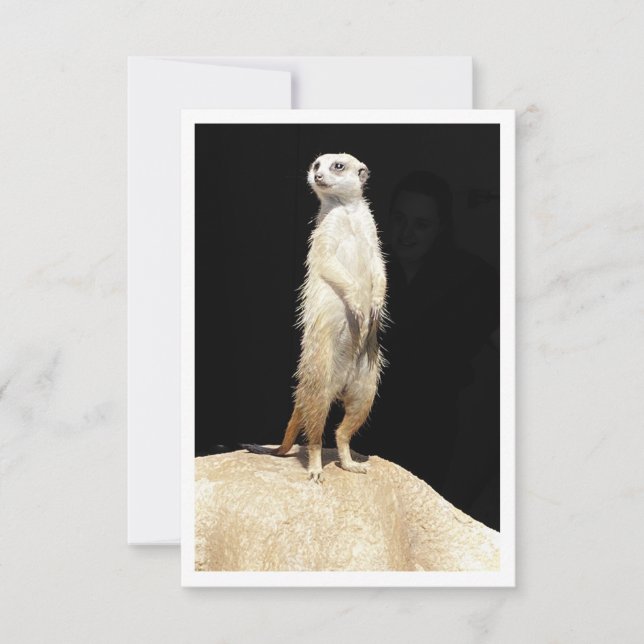 Flachgrüßkarte - Meerkat-Liebe Karte (Vorderseite)