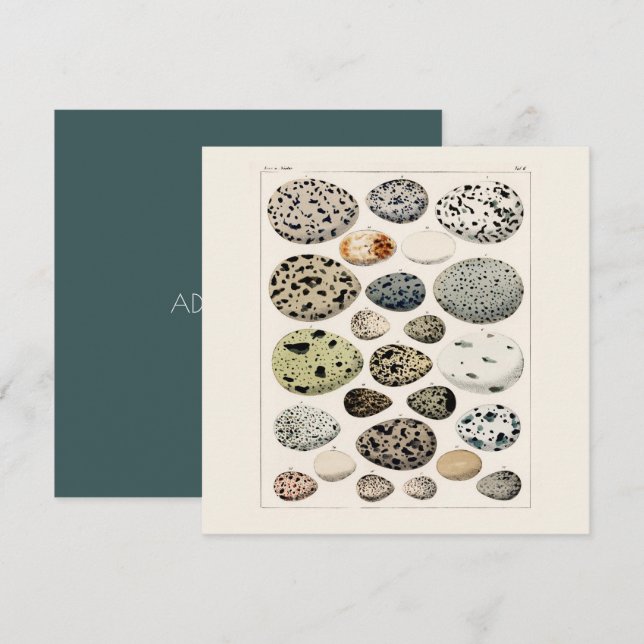 FLACHKARTE : POSTER DER EIER DER VINTAGEN VOD 1843 (Vorne/Hinten)