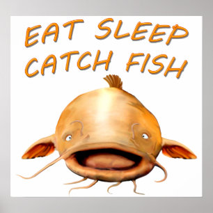 Flachkopfwels Poster