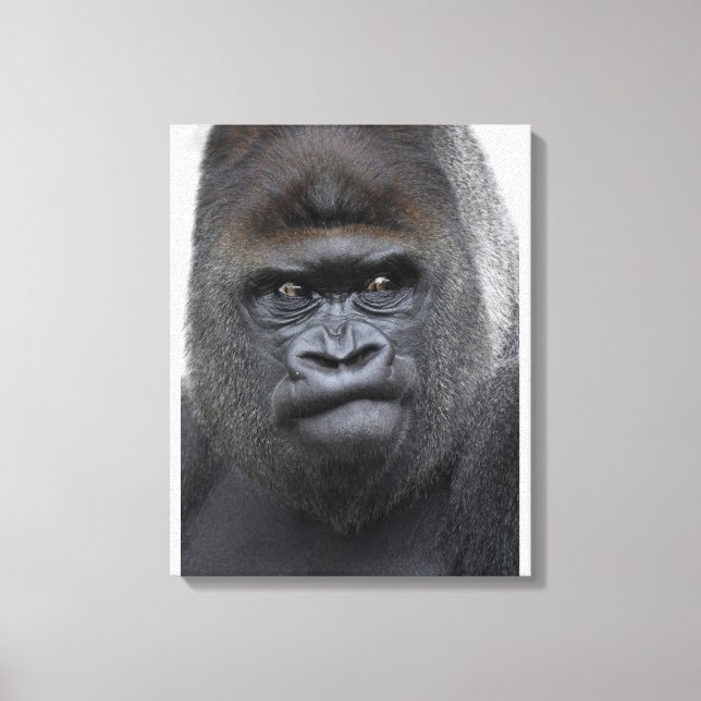 Flachlandgorilla, Gorilla Leinwanddruck (Vorderseite)