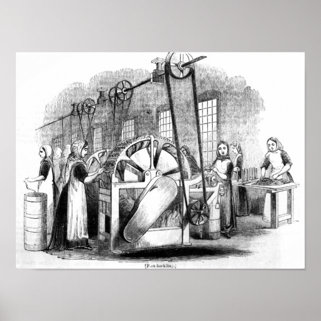 Flachsekklammer Poster (Vorne)