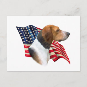 Flag American Foxhound Postkarte