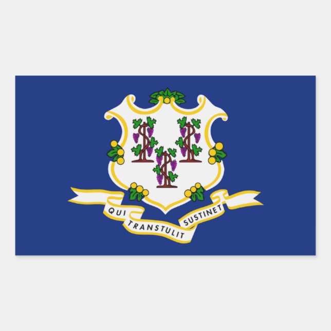 Flag-Aufkleber für den Connecticut-Staat Rechteckiger Aufkleber (Vorderseite)
