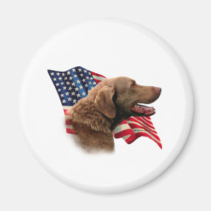 Flag Chesapeake Bay Retriever Magnet