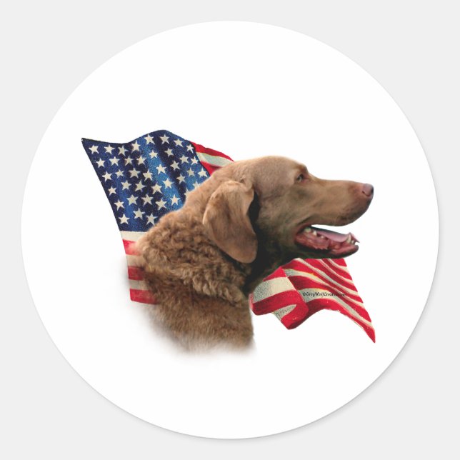 Flag Chesapeake Bay Retriever Runder Aufkleber (Vorderseite)