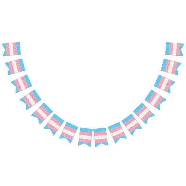 Flag "Funky Boho Stripe Abstrakt Transgender Pride Wimpelkette (Alle)