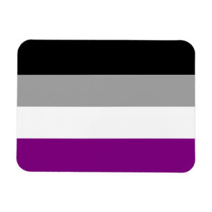 Flag für den asexuellen Stolz Magnet