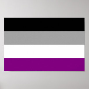 Flag für den asexuellen Stolz Poster