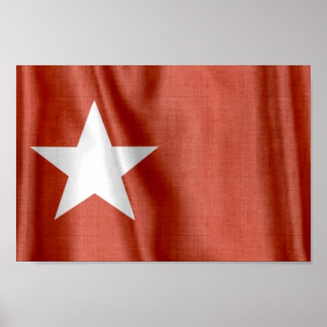 Flag für die weiße Star-Linie Poster (Vorne)
