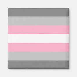 Flag für Mädchen (Demi Girl Pride) (Geschlechtside Magnet