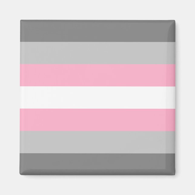 Flag für Mädchen (Demi Girl Pride) (Geschlechtside Magnet (Vorne)