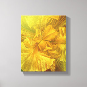 Flag Iris Innere Schönheitsgelbe Kunst Leinwand dr