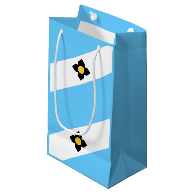 Flag Madison, Wisconsin kleine Geschenktasche Kleine Geschenktüte (Vorderseite Schrägansicht)