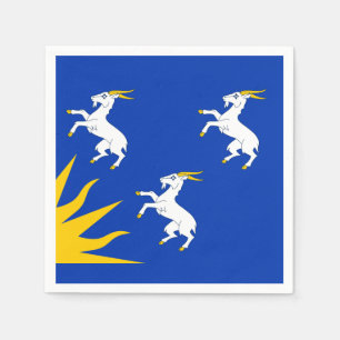 Flag Merionethshire Paper Napkins Serviette