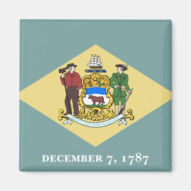 Flag of Delaware, USA Magnet (Vorne)