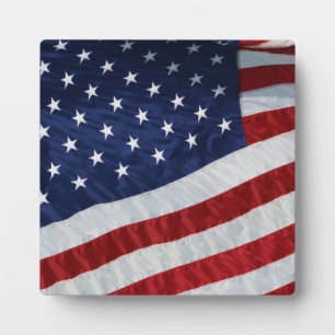 Flag-Plaque für die Staaten Fotoplatte