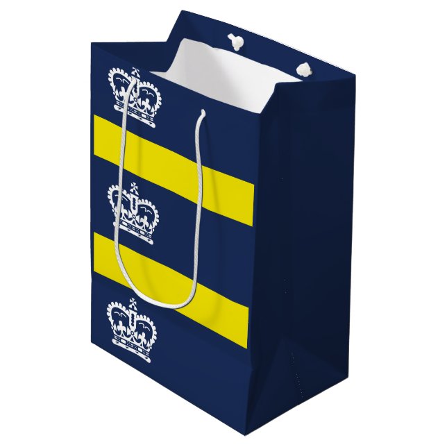 Flag Regina, Saskatchewan Medium Geschenktasche Mittlere Geschenktüte (Vorderseite Schrägansicht)