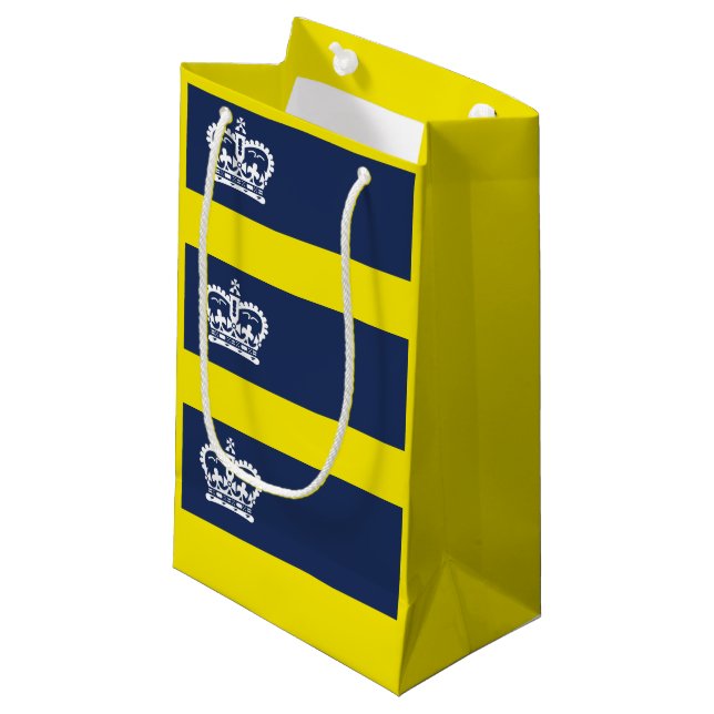 Flag Regina, Saskatchewan Small Gift Bag Kleine Geschenktüte (Vorderseite Schrägansicht)