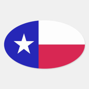 Flag Texas Sticker