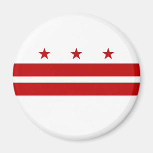 Flag Washington DC Magnet