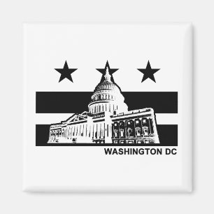 Flag Washington DC Magnet