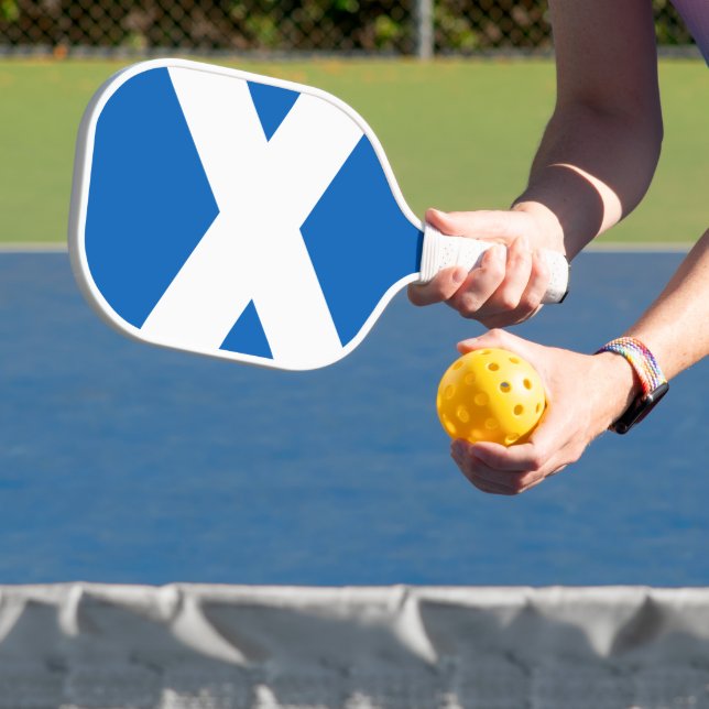 Flagge Albas Pickleball Schläger (InSitu)