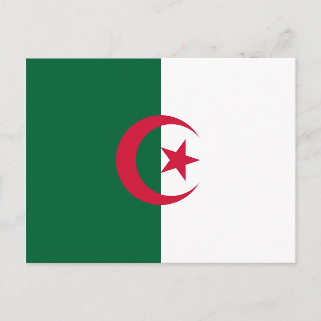 Flagge Algeriens Postkarte (Vorderseite)