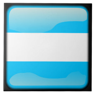Flagge Argentiniens Fliese