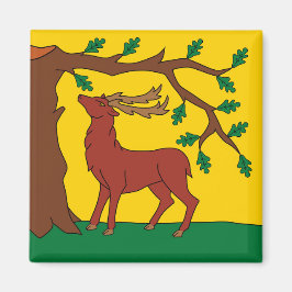 Flagge Berkshire (Vereinigtes Königreich) Magnet