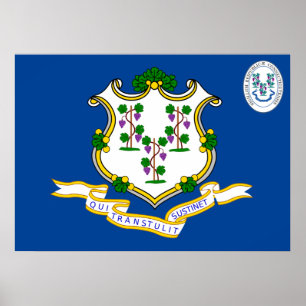 Flagge Connecticut Poster