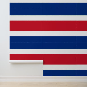 Flagge Costa Ricas Tapete