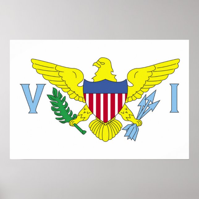 Flagge der Jungfrau der Vereinigten Staaten Poster (Vorne)