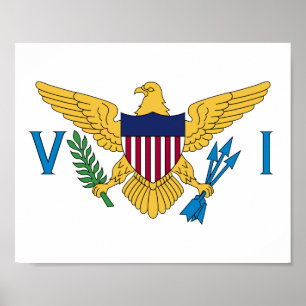 Flagge der Jungfrau der Vereinigten Staaten Poster